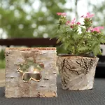 Restaurant Zwergschloesschen 3*